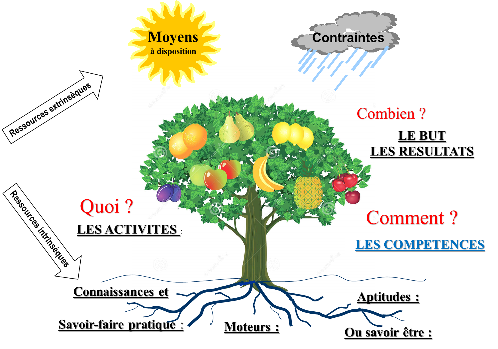 l'arbre des ressources